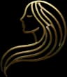 icone-logo